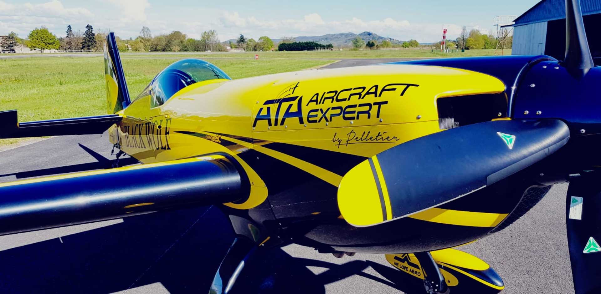Le Champion du Monde de Voltige Aérienne 2019 sur un avion sponsorisé par ATA ! The Aerial Aerobatic World Champion 2019 on a plane sponsored by ATA!